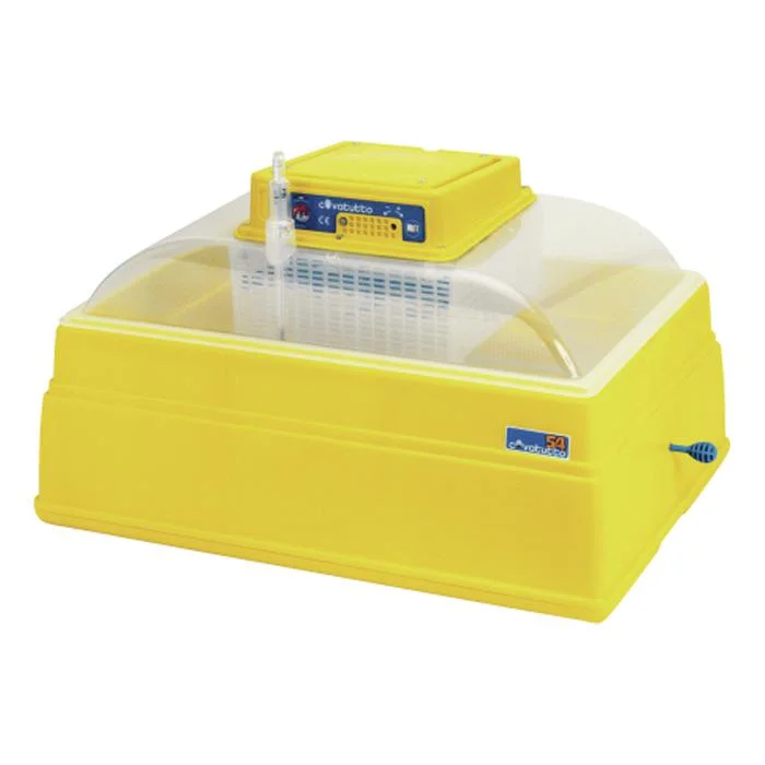 esska-1531695